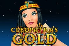 Bingo Botemania game-thumb